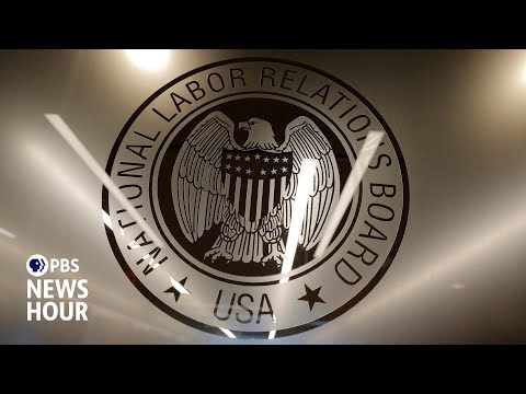 NLRB whistleblower claims Musk's DOGE potentially caused ...