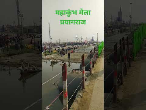 महाकुंभ मेला प्रयागराज💐🚩#mahakumbh2025 #prayagrajkumbh #shortfeed #shorts #viralshort #ytshorts #yt