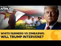 Zimbabwe S White Farmers Seek Trump S Intervention Over Payment Of 3 5 Bn Firstpost Africa N18G