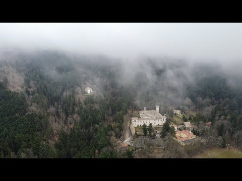 TREKKING NELLA FORESTA🌲🍄🌲DI VALLOMBROSA