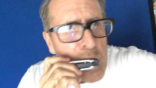 Video thumbnail for Suzuki Blues Master vs Hohner Special 20 in the key of D. by brotherDougE