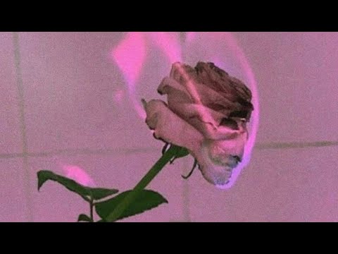 AKC Kretta - Fele-fele Érzelgés feat. Atka (Official Lyric Video)