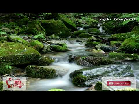 KECAPI SULING SUNDA DENGAN SUARA AIR MENGALIR UNTUK RELAX DAN TERAPI TIDUR