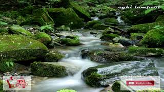 Download lagu KECAPI SULING SUNDA DENGAN SUARA AIR MENGALIR UNTUK RELAX DAN TERAPI TIDUR mp3