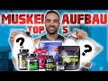 MUSKELAUFBAU SUPPLEMENTS - Die du wirklich brauchst!