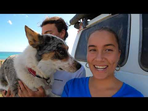 Pacha, Nash and Taka's Troopy Tour!