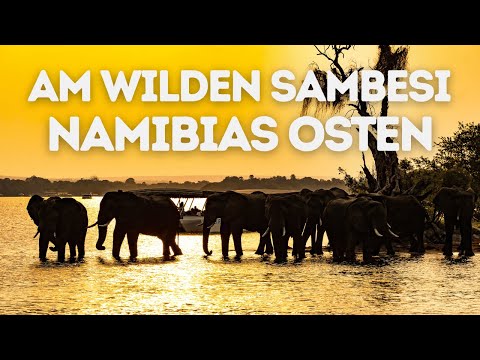 The wild Zambezi – Namibia's east becomes an adventure!