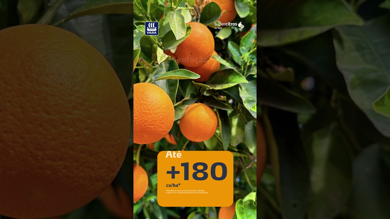 Programa Nutricional SuperCitros | Yara Brasil