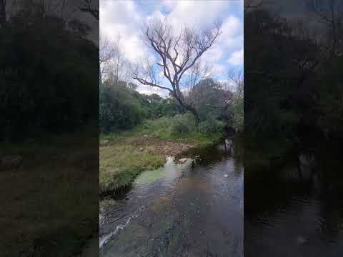 el Uruguay profundo