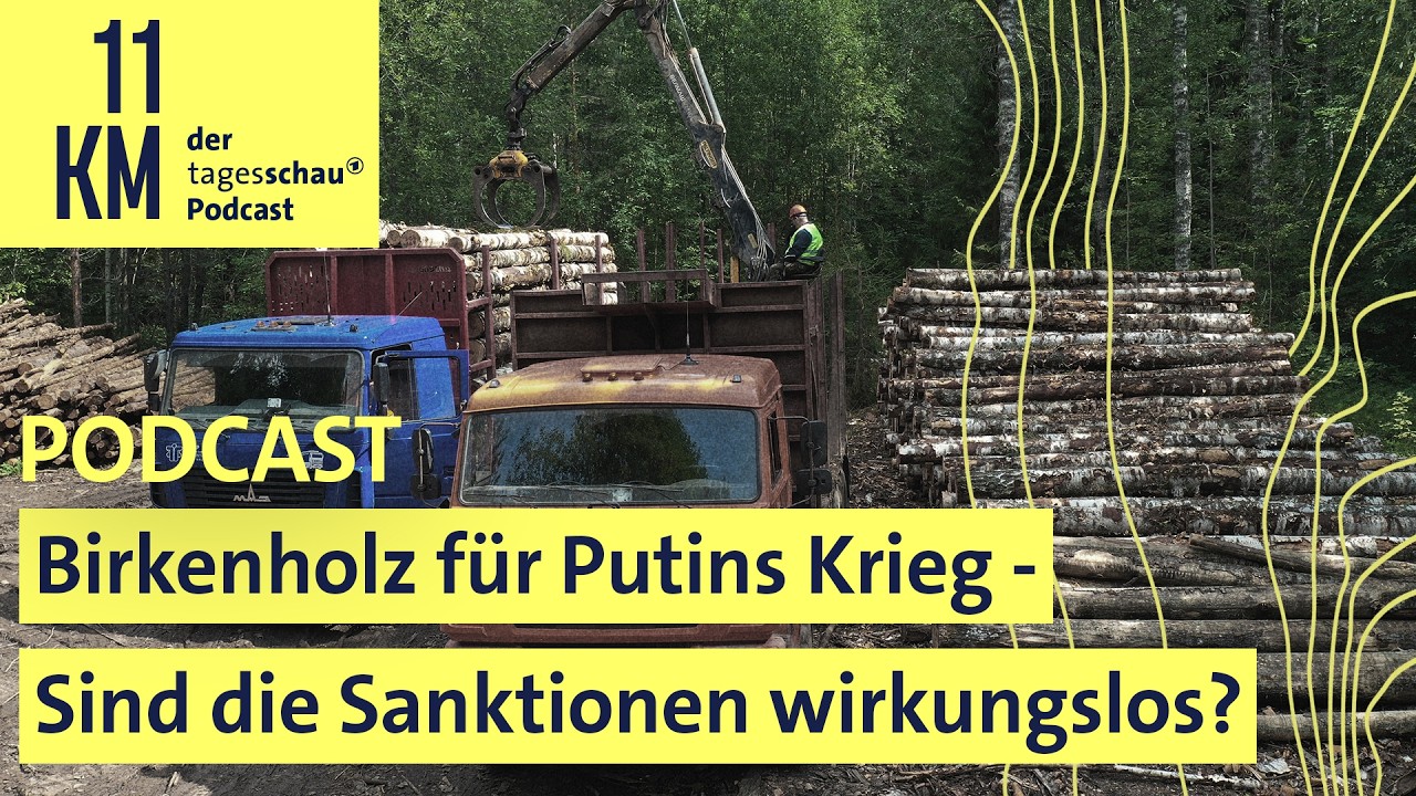 Birkenholz für Putins Krieg: Sind Sanktionen wirkungslos?