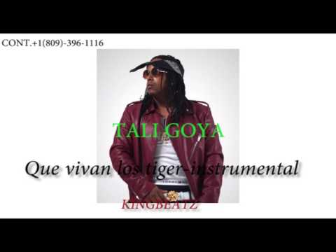 Que Vivan Los Tiger (instrumental)