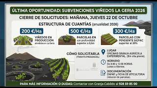 &Uacute;ltimas 24 horas para solicitar las ayudas a la vi&ntilde;a en La Geria