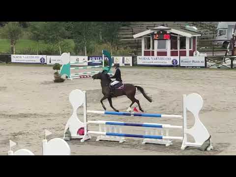 Magnum PI tar sølv i NM for ponni kat 2 i sprang 2018.