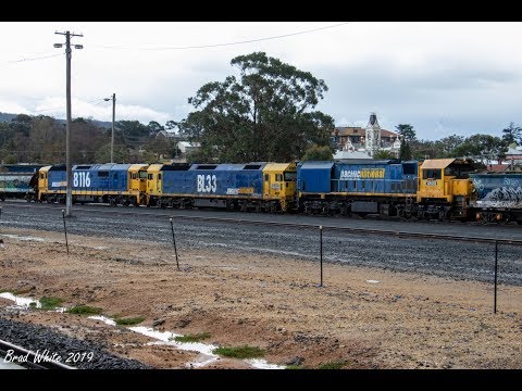 Pacific National Hospital Train at Ararat: XR559, BL33 and 8116 on 7736V & 7735V- 1/9/19