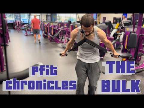 The Bulk Day 23 : Push Day