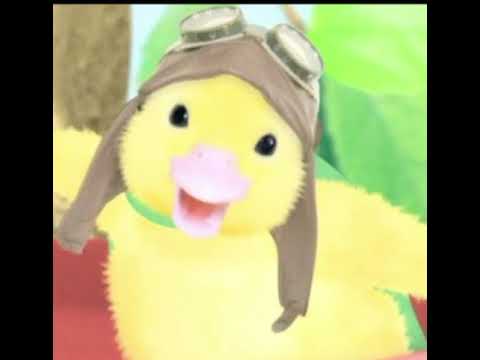 Wonder Pets Deviantart