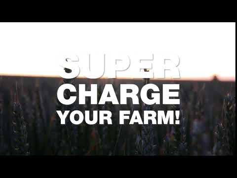 World record beating yields!