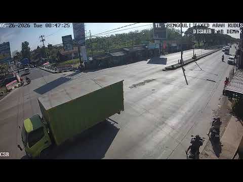 Camera Offline