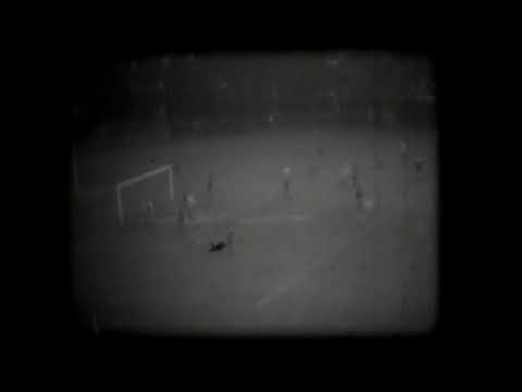 Fotbal - Cineclubul Minerul Anina