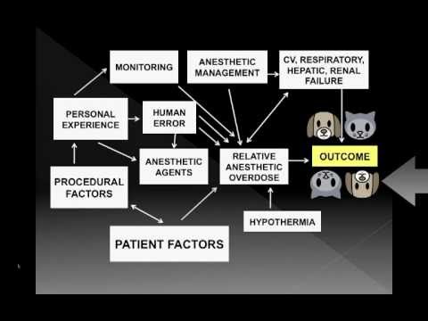 Anesthetic Management in Animal Shelters - Keeping them alive, Pt 1 - class