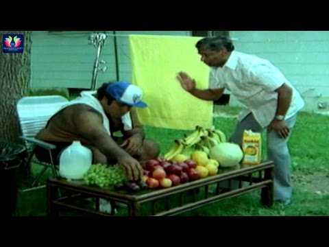 Padamati Sandhya Ragam Movie Back to Back Comedy Scenes | Vijayashanti | Thomas Jane | TFC Comedy