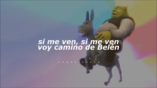 Mi Burrito Sabanero (Letra) - Reggaetón