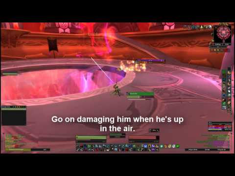 Solo Hunter (85) vs. Al'ar (with Tutorial)