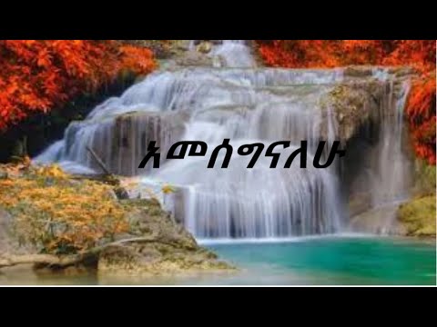 Heavenly real worship songs. Daniel Amdemichael -   Ameseginalehu / አመሰግናለሁ/