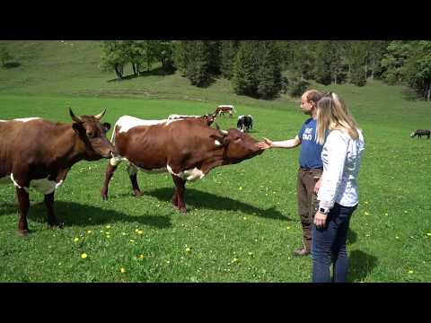 Loitzhof – Urlaub am Bauernhof in Untertauern im Salzburger Land