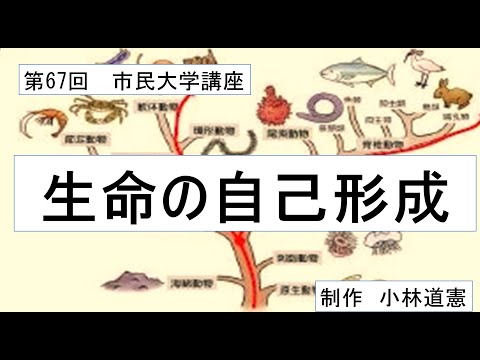 地域科学課程 生命の自己形成