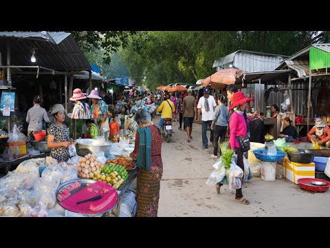 Countryside Market Day in Cambodia - Plenty Rural Fish, Vegetable, Pork & More @Vihear Sour