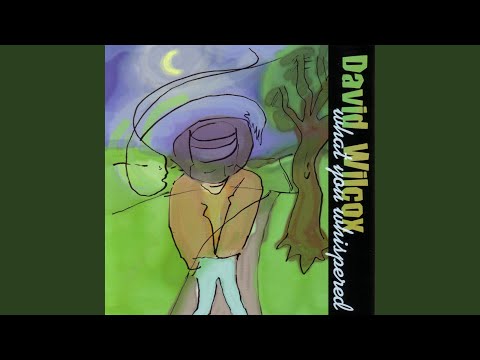 Videoclip de What You Whispered — David Wilcox