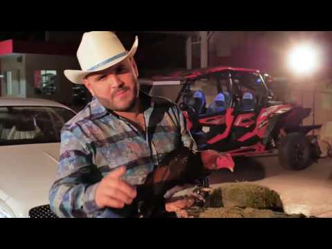 download lagu mp3 mp4 Descargar El Gallero El Komander, download lagu Descargar El Gallero El Komander gratis, unduh video klip Descargar El Gallero El Komander