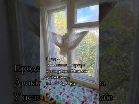 Смотреть видео