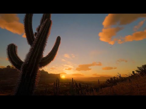 Sunrise in the Desert with Beautifully Relaxing Music - Sonoran Sunrise