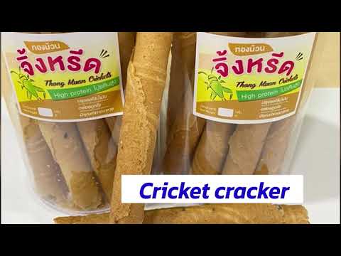 Cricket Farm: An Edible Source of Protein
