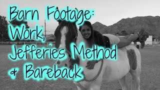 Barn Footage | Working, Jefferies Method & Sitting on Harley Bareback