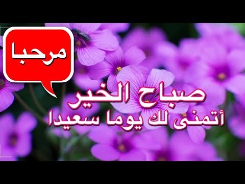Arabic Good Morning Gif Images Video