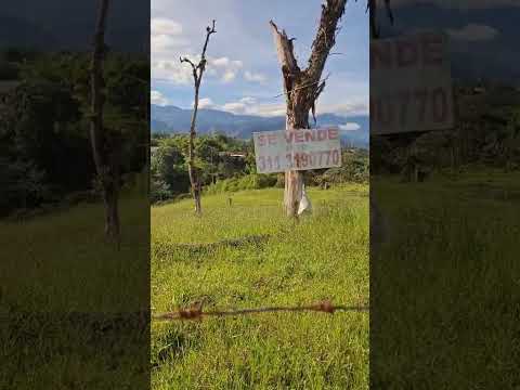 Lotes Circasia Quindío Cel 311 3190770