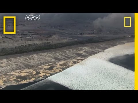 image-How tall was the tsunami wall in Japan?
