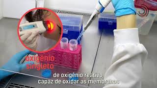 Miniatura do vídeo
