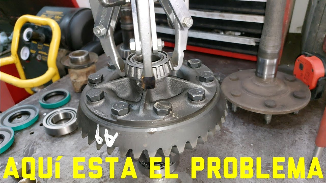 DIFERENCIAL ZUMBA DEMASIADO RUIDO #2