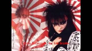 Siouxsie and the Banshees - Little Sister (Sub Español)