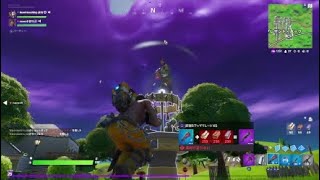 Fortnite　ビクロイ
