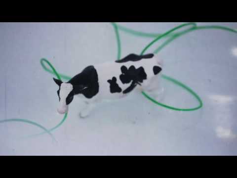 COPY011 - Manu Ferrantini - Adventurous Lobster (Video Cut)