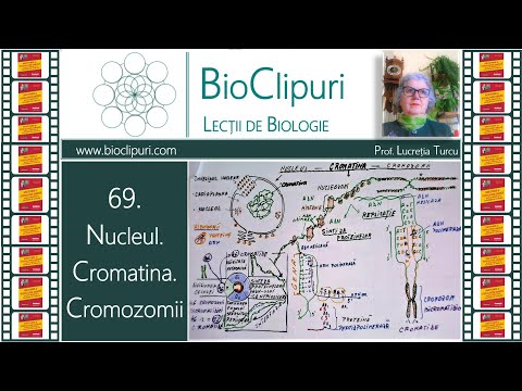 69. Nucleul. Cromatina. Cromozomii (Barron's)