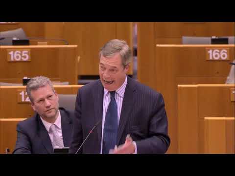 Nigel Farage   Euro Parl  30 01 19