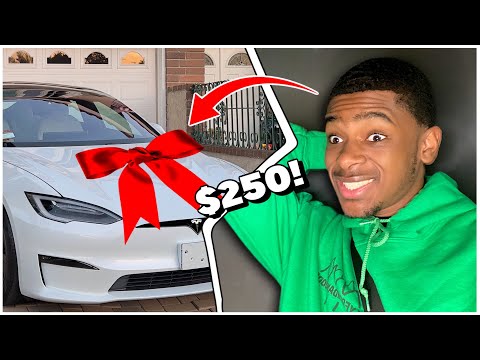 I bought a tesla for $250!