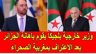 وزير خارجية بلجيكا يقوم باهانة الجزائر بعد الاعتراف بمغربية الصحراء