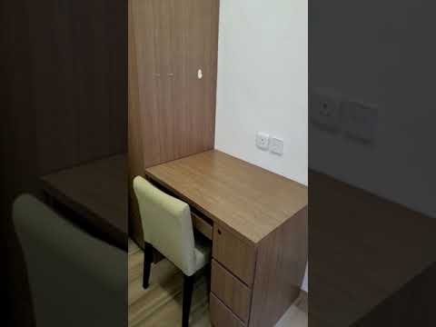 梭亚道11号 Youtube Video